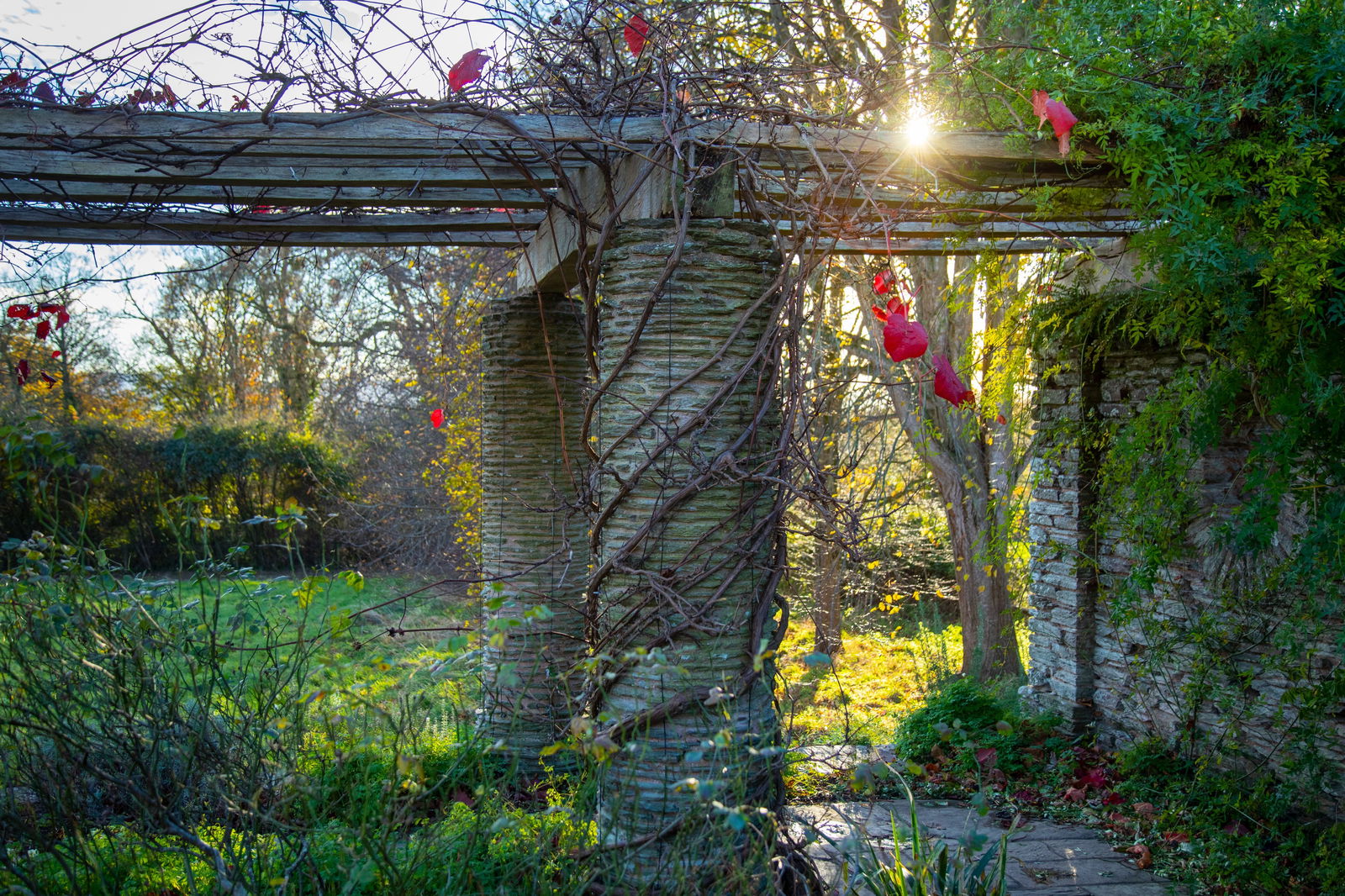 Hestercombe Gardens in Winter