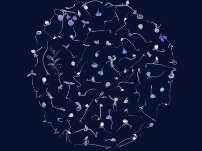 Image credit Susan Derges Seed Constellation Lambda C print 2020 detail