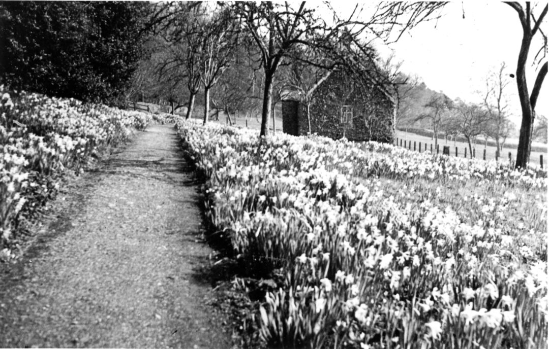 Fig 8 St Marys Church in the Great Orchard 1939