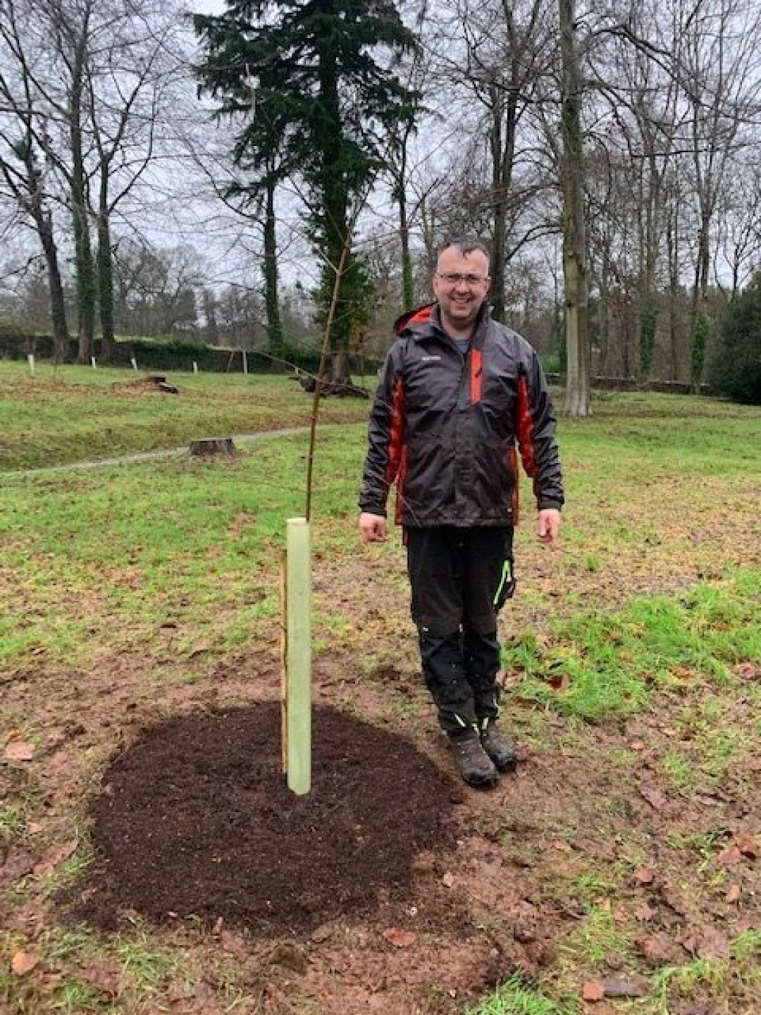 How to plant a tree hestercombe gardening tips claire greenslade IMG 4834