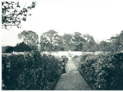 Fig 7 Kitchen Garden looking north along main axis 1904 from the archives kitchen garden