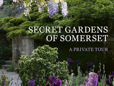 Secret Gardens of Somerset Hestercombe 900px