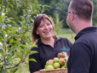 Apple pruning hestercombe blog T4 I1752 1