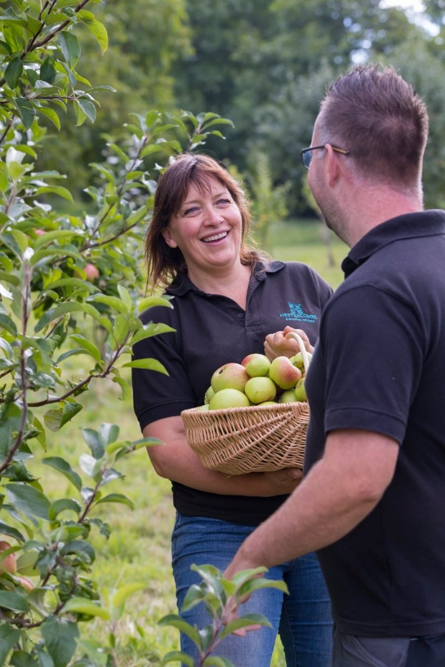 Apple Pruning at Hestercombe