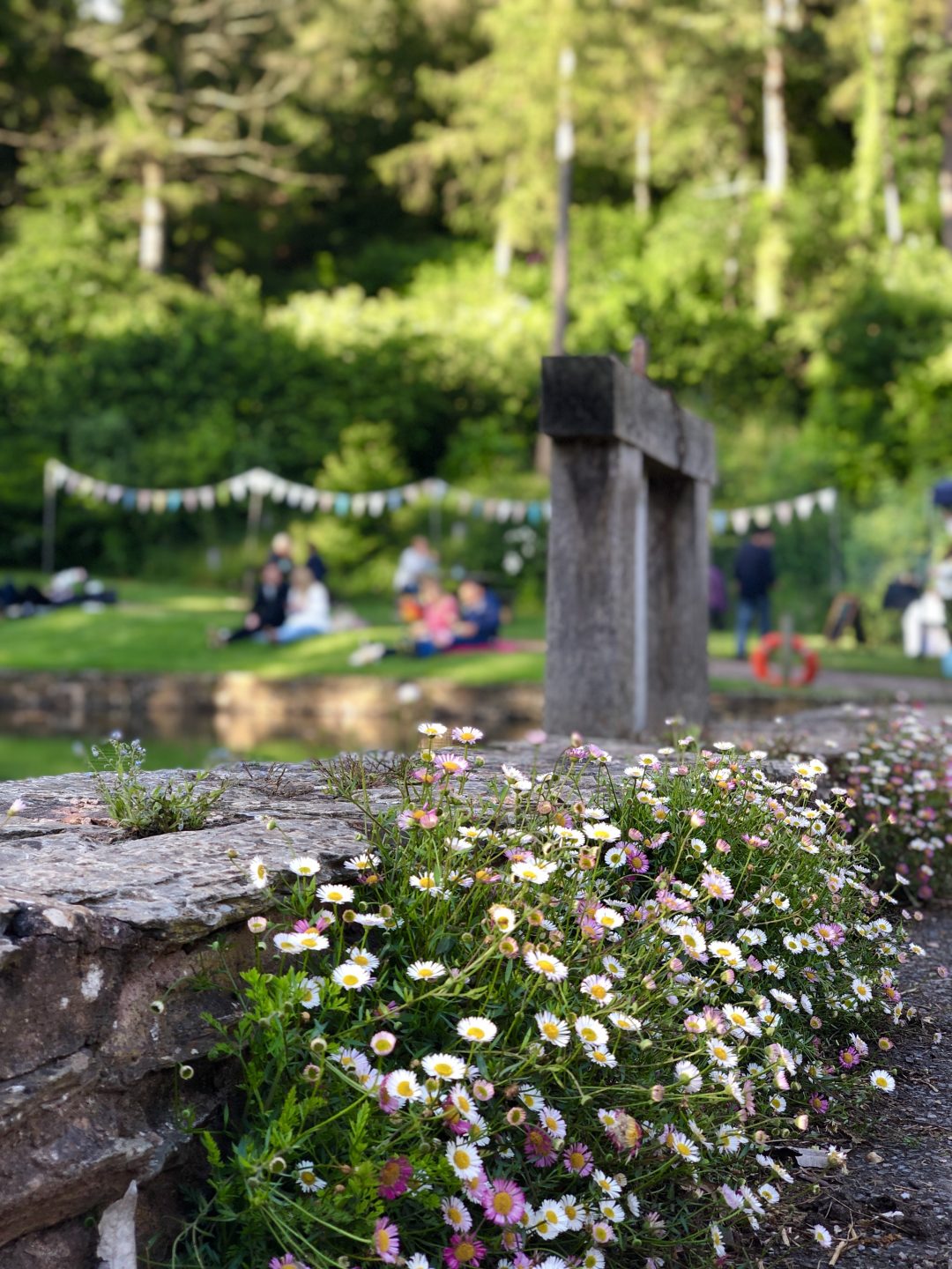 Summer Late Openings at Hestercombe Gardens near Taunton