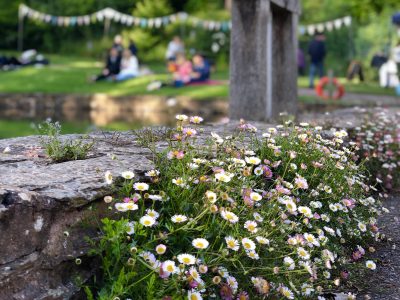 Summer Late Openings at Hestercombe Gardens near Taunton