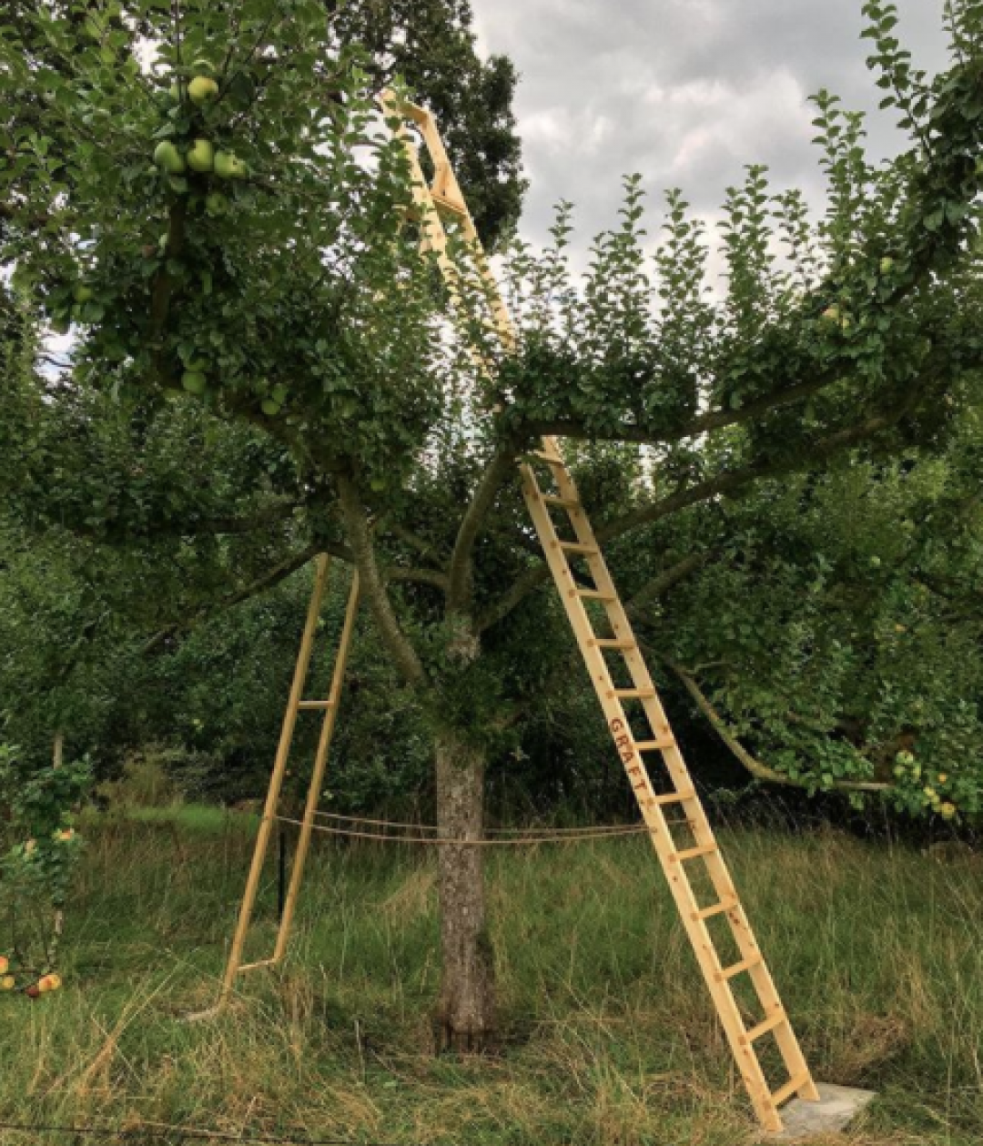 Graft Ladder Jo Lathwood Open Up Hestercombe photo by Tim Martin