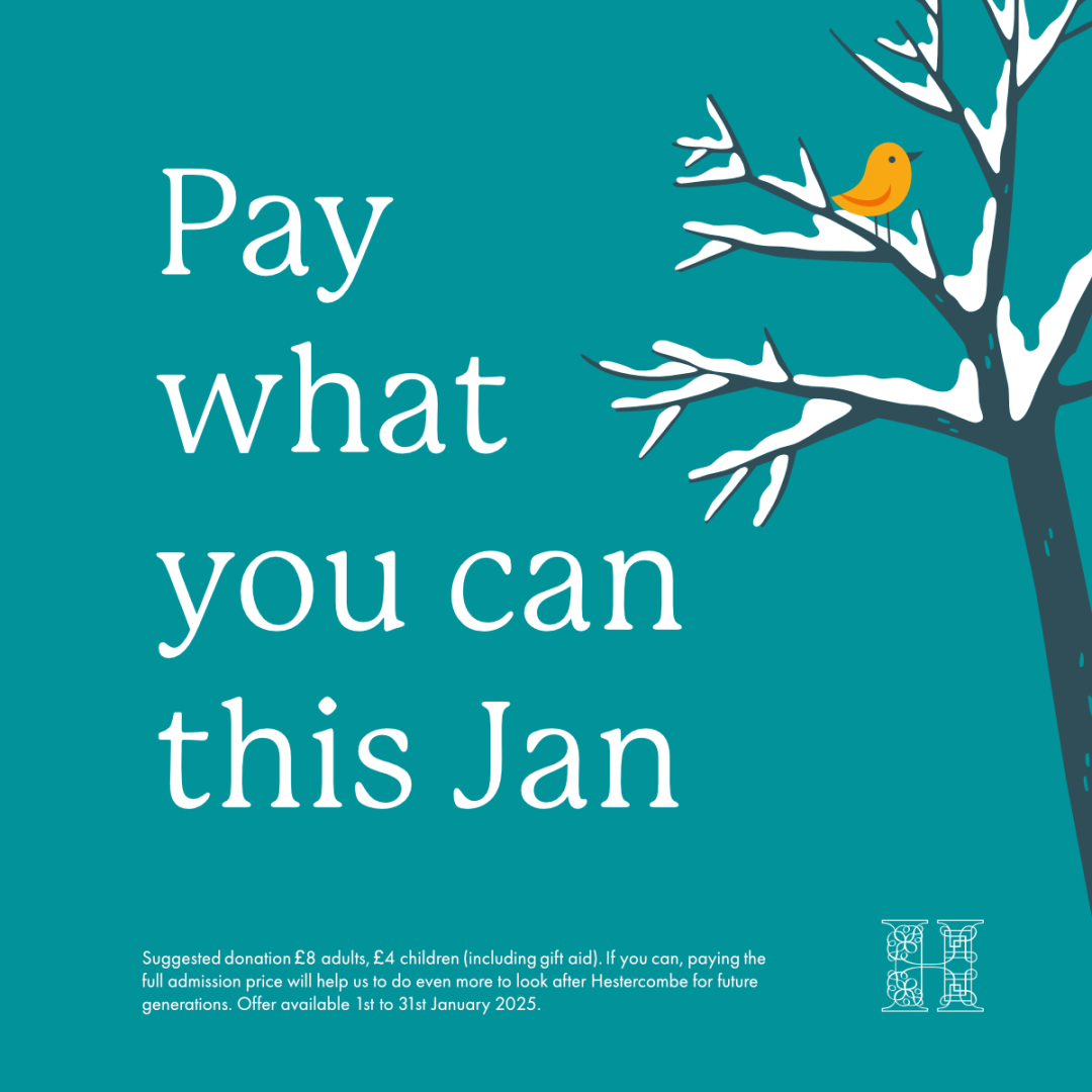 Pay What You Can This Jan 2025 Social Square