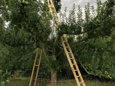 Graft Ladder Jo Lathwood Open Up Hestercombe photo by Tim Martin