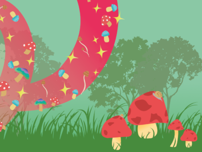 Mushroom Magic Trail 1920x1080 No Text