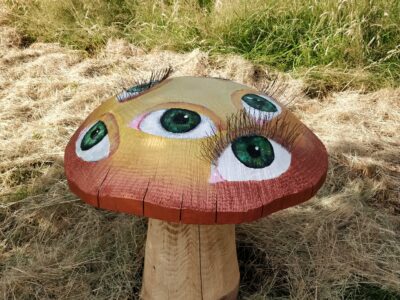 Toadstool auction Eye See You Heathfield Community School Hestercombe